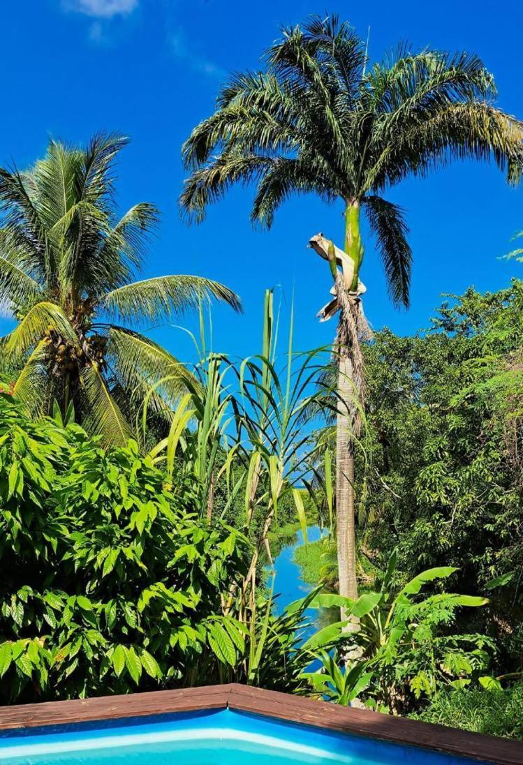 Kaz Alberto - Tropicalkaz Guadeloupe Apartment Sainte-Rose