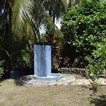 Kaz Alberto - Tropicalkaz Guadeloupe